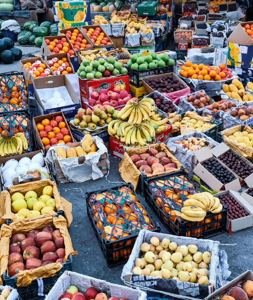 Market Systems & Value Chain Development