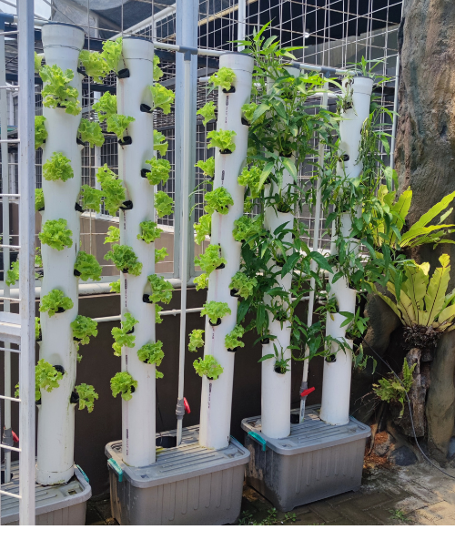 Innovation & Agricultural Technology Integration