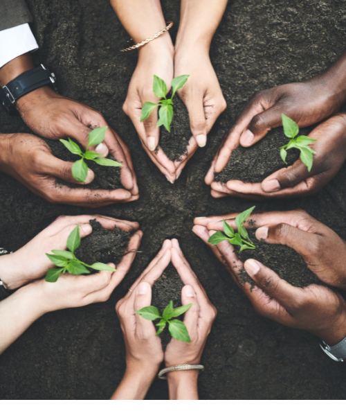 Business Development & Entrepreneurship Support